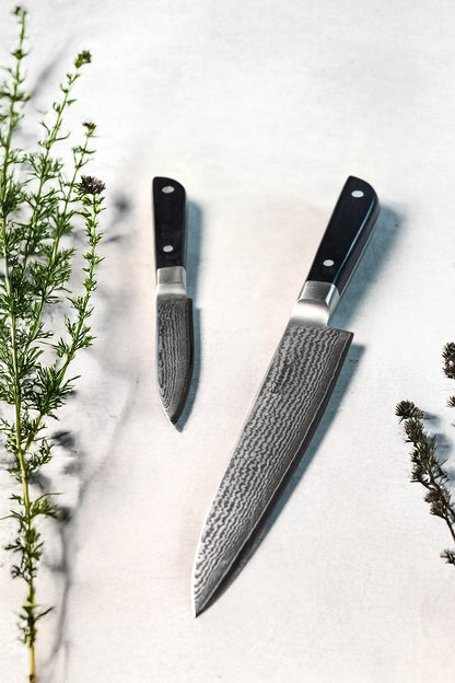  Discovery PRO Knivsæt - 2 Dele