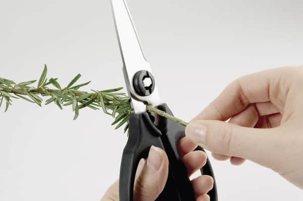 OXO Good Grips Køkken- Og Urtesaks