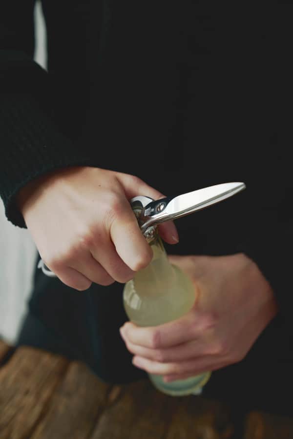 Zwilling Multisaks