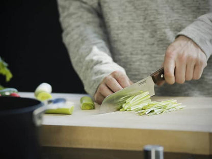 Fiskars Norr Santokukniv