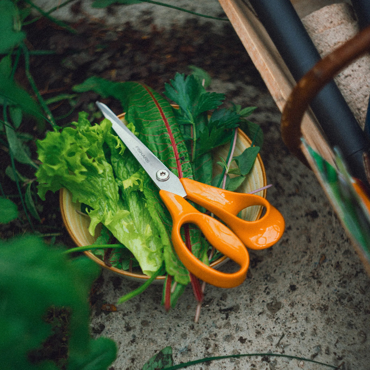 Fiskars Classic Universalsaks